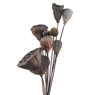 干花仿真花小莲蓬松果花艺十字果手工制作花插花瓶装饰点拍摄道具