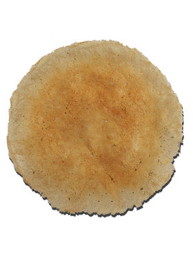 山东枣庄大煎饼手工卷纯滕州2件