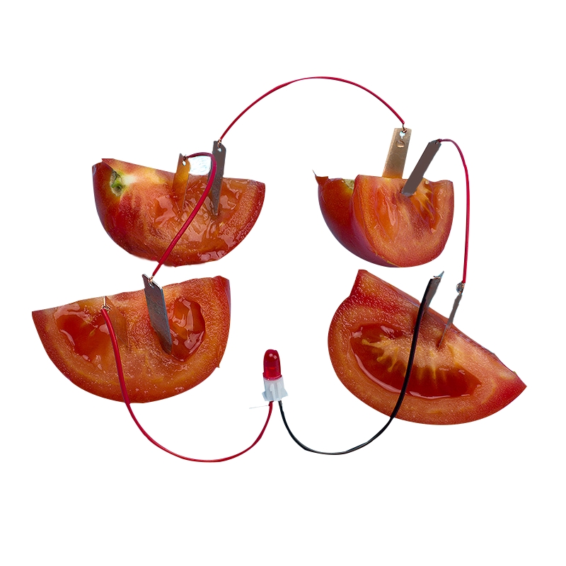 科学实验器材创意水果发电果蔬环保时钟数字钟土豆发电袋装小发明