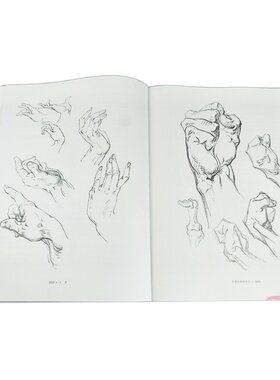 伯里曼人体结构绘画教学彩色版