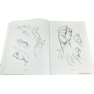 伯里曼人体结构绘画教学彩色版 高清还原图画稿版 人体结构造型手绘技法艺用人体构解剖人物模型素描速写临摹动漫美术结构教程书