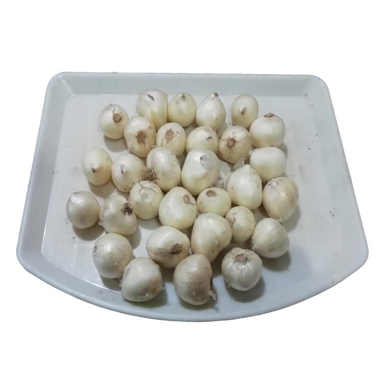 新鲜苦藠团葱小根蒜1斤