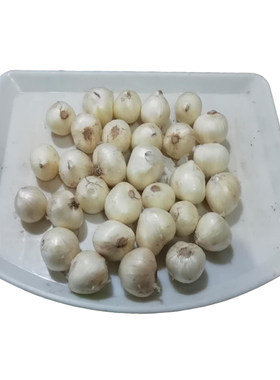 新鲜苦藠团葱小根蒜1斤