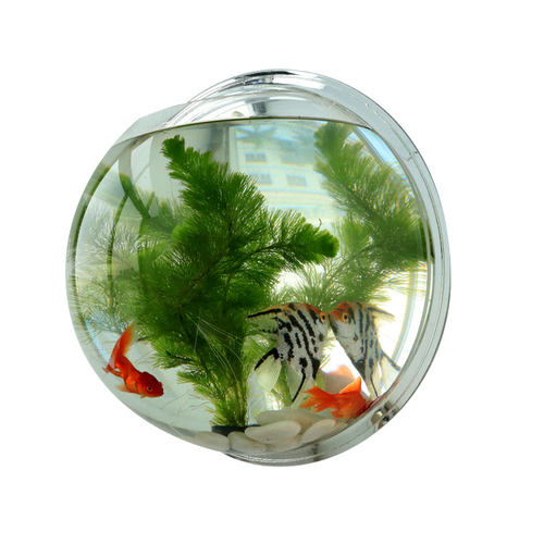 壁挂鱼缸亚克力挂墙鱼缸金鱼缸悬挂式鱼缸生态墙上造景水族箱挂壁