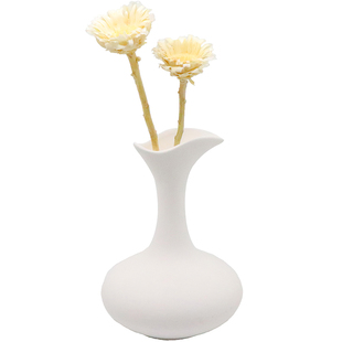 干花花束永生花保鲜花非洲菊太阳花家居插花文艺复古白色装饰摆设