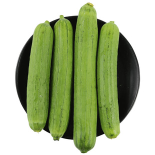 密农人家 密云农家丝瓜500g  现摘鲜嫩皮丝瓜 时令生态蔬菜