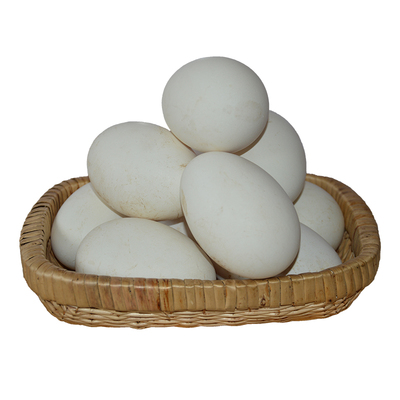 12枚大三花五龙鹅产蛋王鹅鹅蛋受精蛋种蛋可孵化鹅苗泰州鹅四季鹅