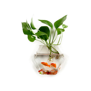 六角形壁挂水培玻璃透明花瓶鱼缸创意家居饰品客厅卧室插花器简约