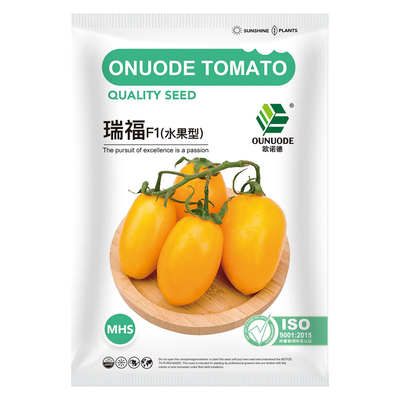 中科茂华蔬菜种子瑞福樱桃番茄种子改良黄酸甜可口水果番茄