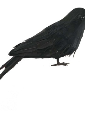 道具鬼节用品西方羽毛黑色摆件