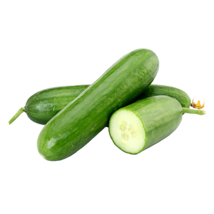 水果青瓜新鲜小黄瓜1000g水果黄瓜蔬菜沙拉西餐食材生吃脆小黄瓜