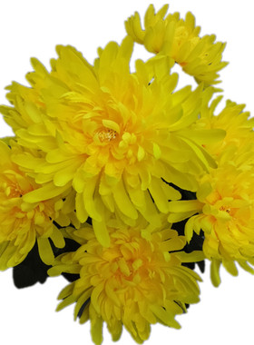 绢花仿真菊花摆放清明祭拜假花