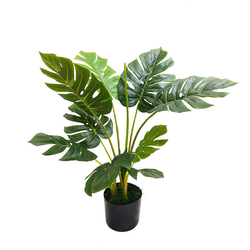 仿真植物室内装饰大型龟背树金钱叶仿真绿植落地装饰彩虹芋盆栽