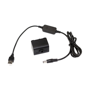 适用索尼DCR-SR100 SR100E摄像机FV70假电池盒DC5.5母+USB 8V线