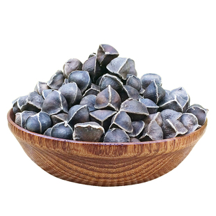 质检报告大颗粒非洲辣木籽原种非印度冈比亚尼日利亚精选食用500g