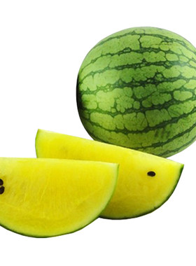 礼品西瓜小型超甜水果蔬菜种子
