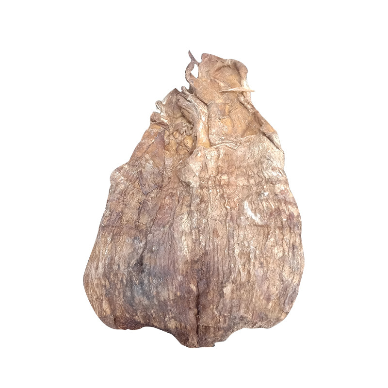 笋尖建瓯竹笋干笋片焖笋烤