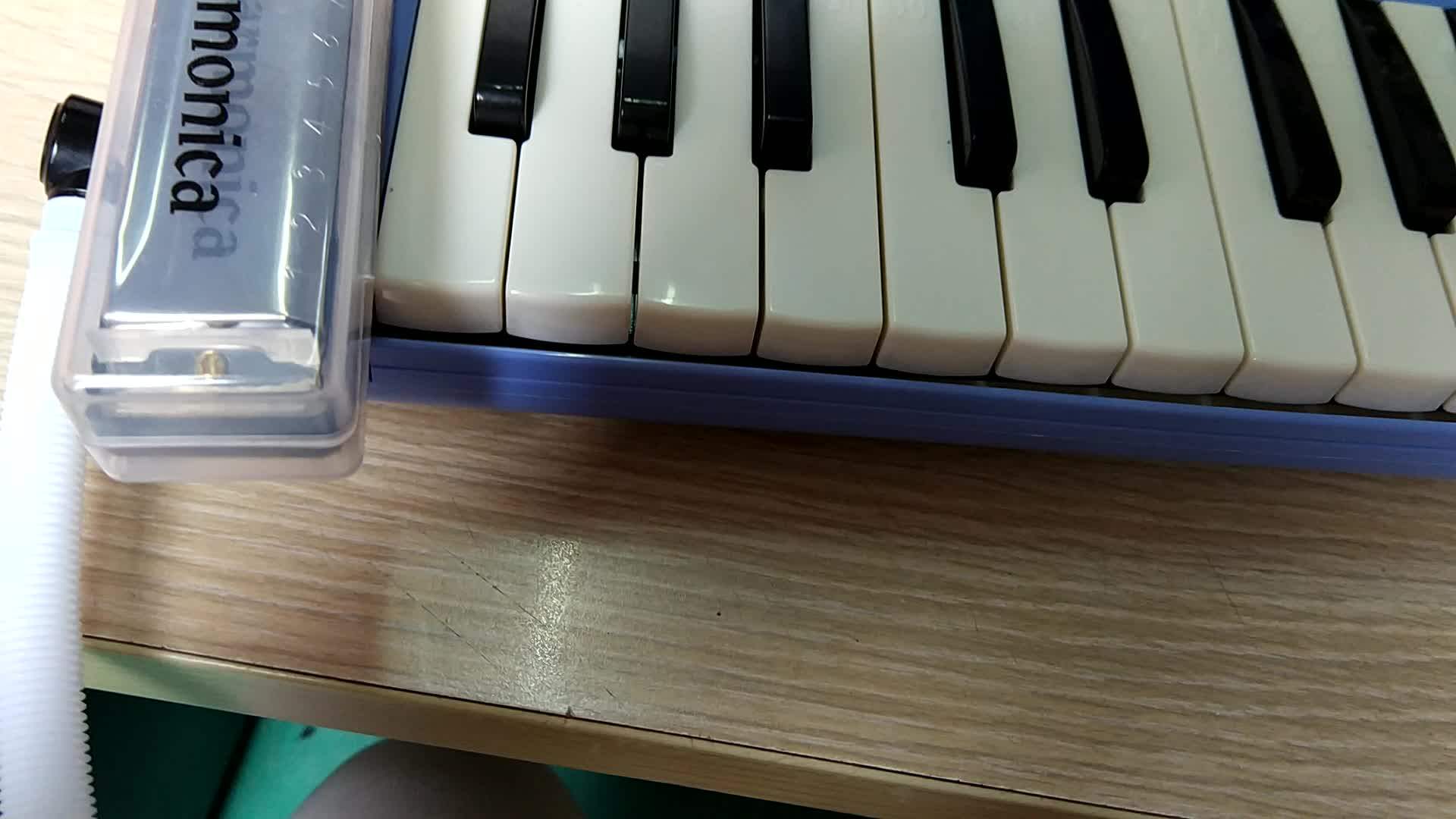 32 Key Plastic Piano Melodica With Hard Case/stainless Steel Plate