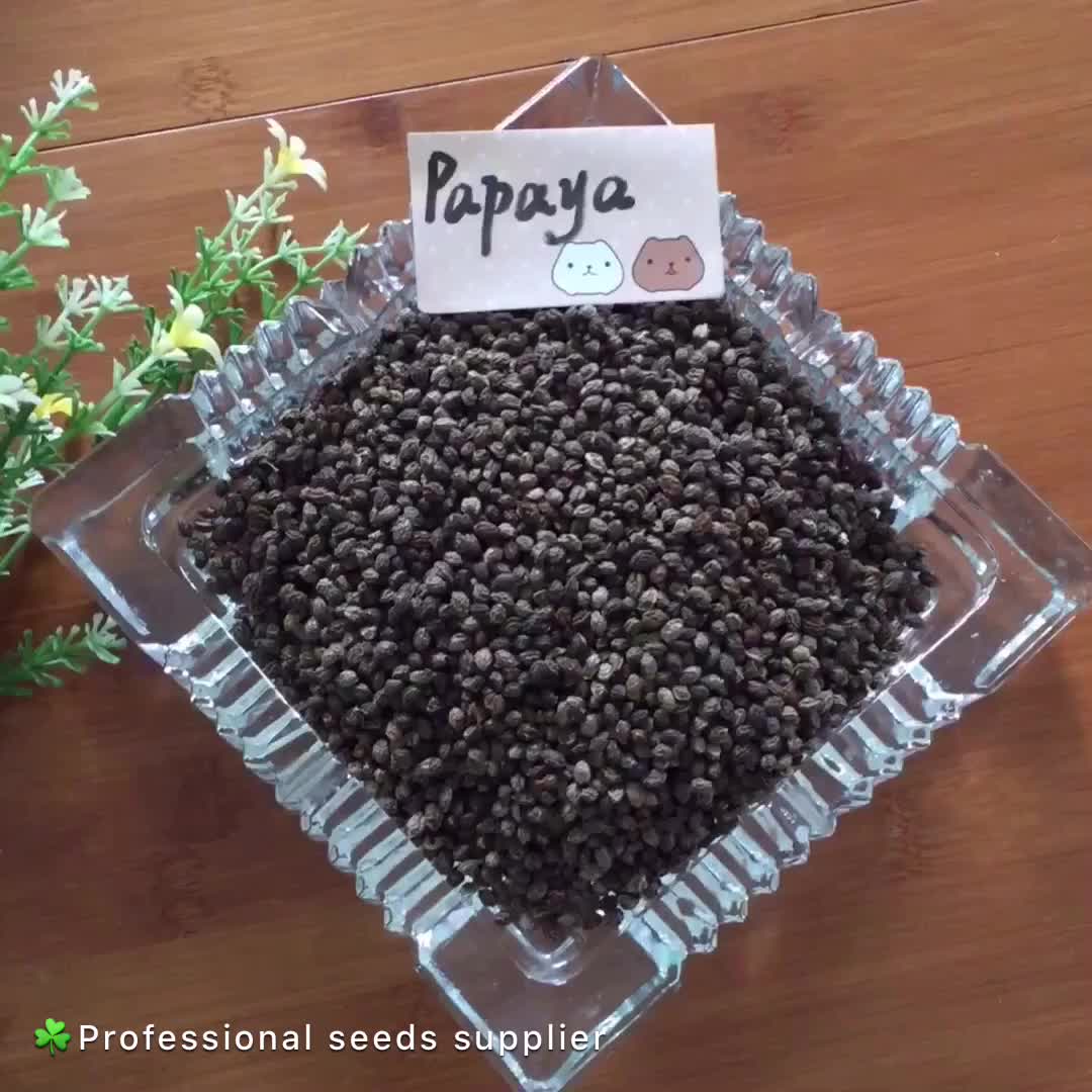 Семена Папайи Купить В Аптеке