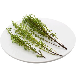 新鲜香料 西餐香料 新鲜百里香Thyme 百里香香叶 250g