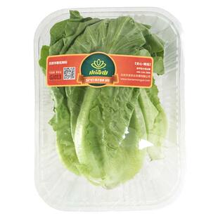 【小汤山】直立生菜 约300g 新鲜蔬菜当天采摘北京农场顺丰到家