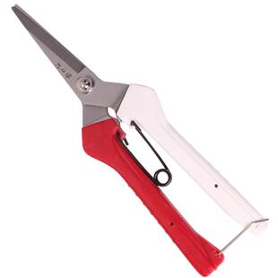 汪吾铨剪刀园艺剪刀套餐园林工具家用果树枝剪修花剪嫁接剪粗枝剪