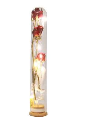 玻璃试管干花花束永生花许愿花瓶植物标本装饰摆件母亲节伴手礼物