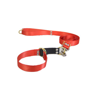 草原阿爸狗脖圈牵引绳狗脖套遛狗绳格力灵缇惠比特细狗阿富汗项圈