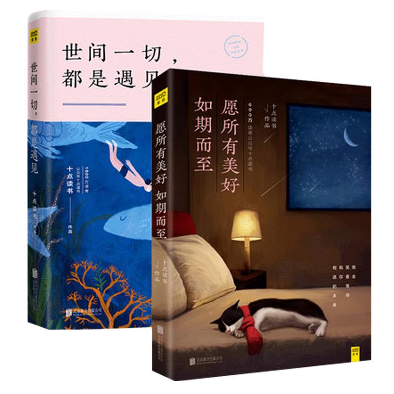 全2册愿所有美好如期而至+世间一切 都是遇见 十点读书作品 青励志文学正能量  文学小说插画盘江道