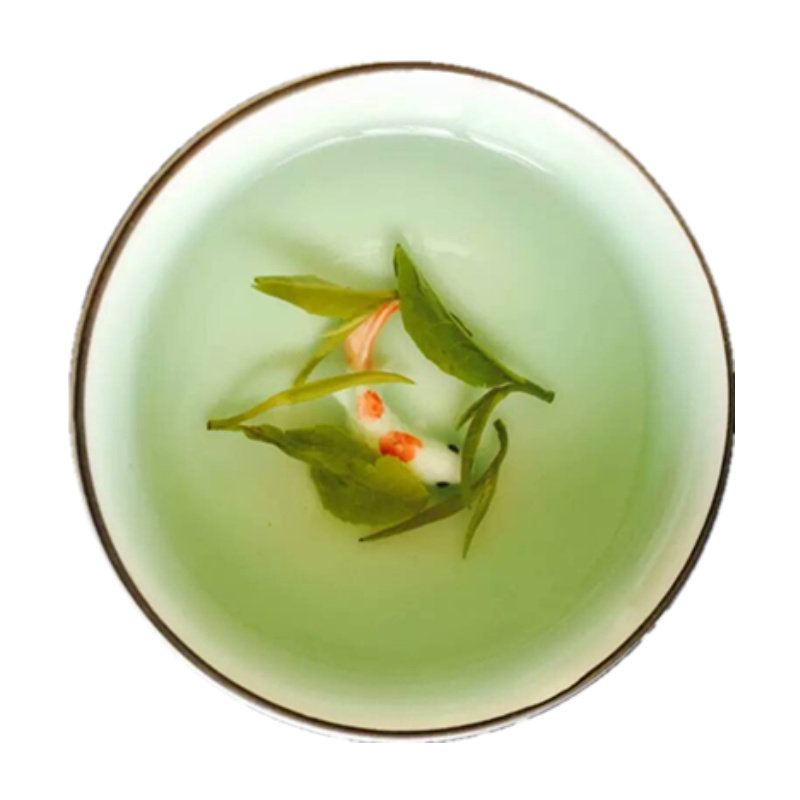 农家自销板栗浓香250g日照绿茶