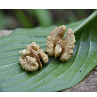 2025年新货原味核桃仁成县核桃野生老树核桃肉