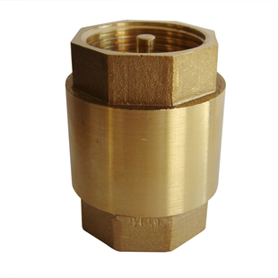 4分6分1寸黄铜立式止回阀弹簧式水管止水单向阀回流阀DN15/20/25