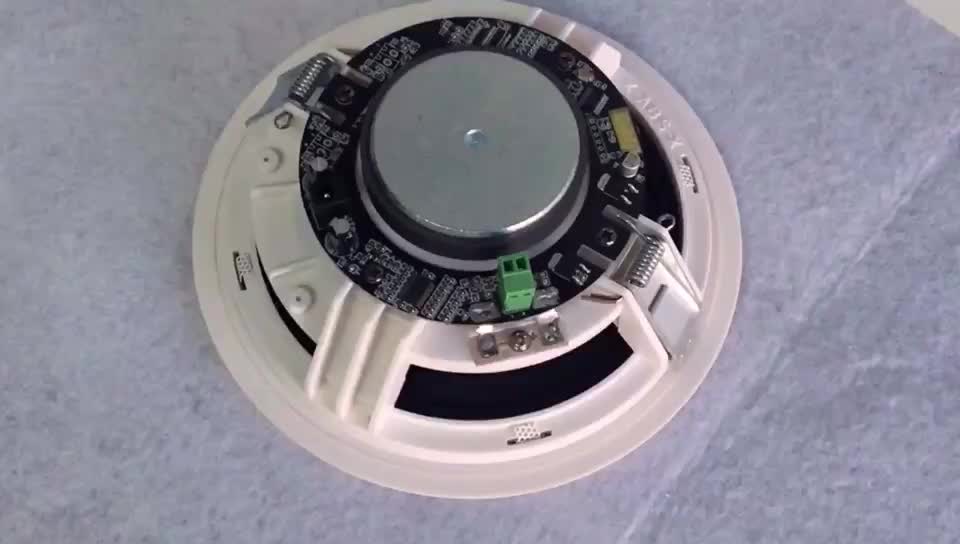 Rh Audio Bluetooth Ceiling Speaker Commercial Background Music