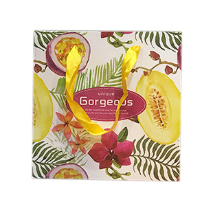 热带果林时尚礼品袋商务送礼袋礼物包装袋手提纸袋服装袋定制包邮