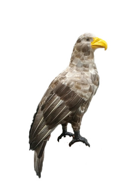 办公书房摆件丐帮老雕吓鸟鹅毛