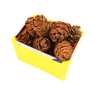 松鼠粮食坚果主食生巴旦木松子松塔瓜子幼鼠粮食松籽零食套餐