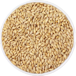 东北大麦颗粒带壳大麦茶原料酿酒喂鸽子鸟粮清除饲料5kg10斤包邮