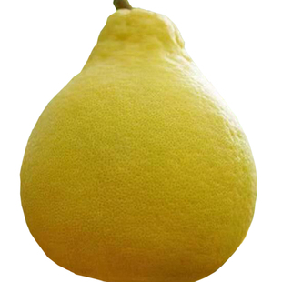 正宗南康甜柚20斤新鲜孕妇水果园现摘晚熟柚斋婆柚沙田柚子袖珍果