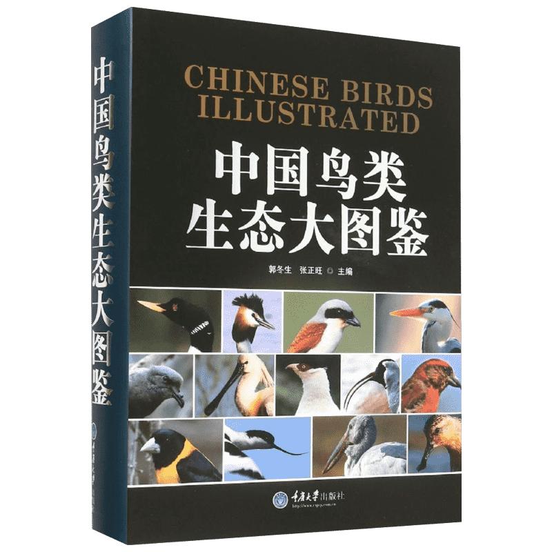 中国鸟类生态大图鉴自然生态图鉴中国鸟类图鉴鸟类知识档案动物百科鸟类物种鸟类生态图科普读物正版书籍
