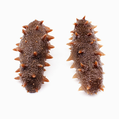 辽参水产干货大连海参5份包邮