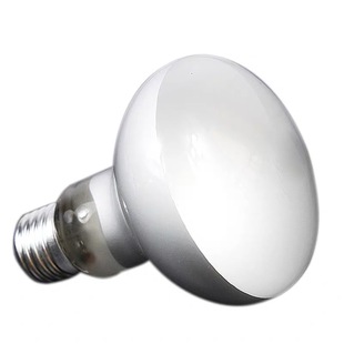 爬虫加热灯日灯夜灯加温灯泡宠物加热器UVA日灯夜灯月光灯保温灯