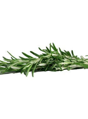 新鲜西式香料迷迭香牛排调料成都好特蔬ROSEMARY 100G