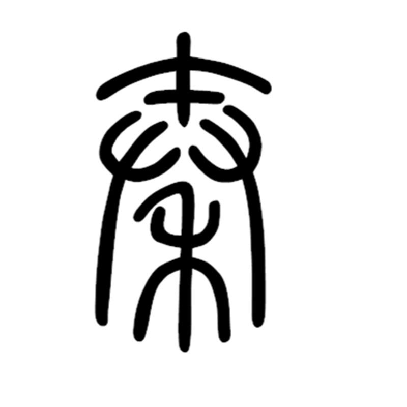 蛇纹木A级筷子宝塔中华筷刻字定制收藏高档红木筷礼品筷新婚筷