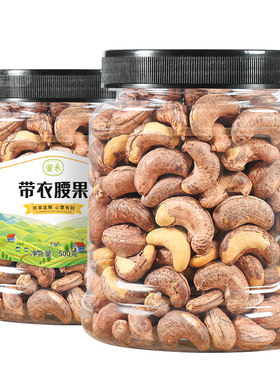 越南特大500g盐焗罐装带皮腰果