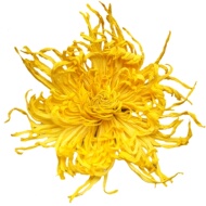 第2件5元菊花茶金丝皇菊熬夜去火