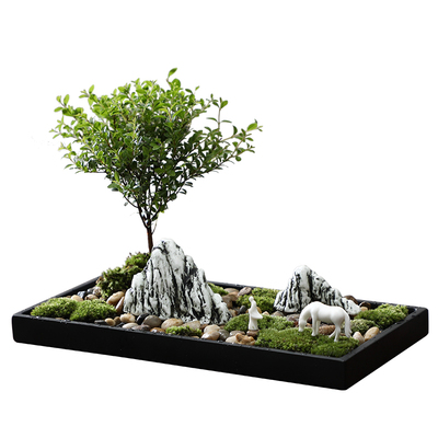 汉鸿微景观禅意风花盆茶室装饰品