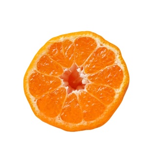 四川不知火树苗丑八怪树苗橘子果树苗丑柑树苗柑桔营养杯带土球苗