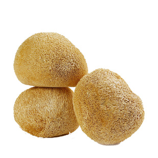 古田农家自产新货猴头菇干货500g菌菇类养胃包邮土特产天然