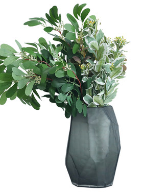 泰环仿真绿植金钱叶把束门面装饰