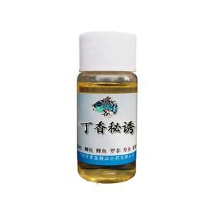 丁香油秘诱钓鱼小药垂钓用品渔具阿魏草鲤鱼鲫鱼饵料野钓黑坑鱼饵